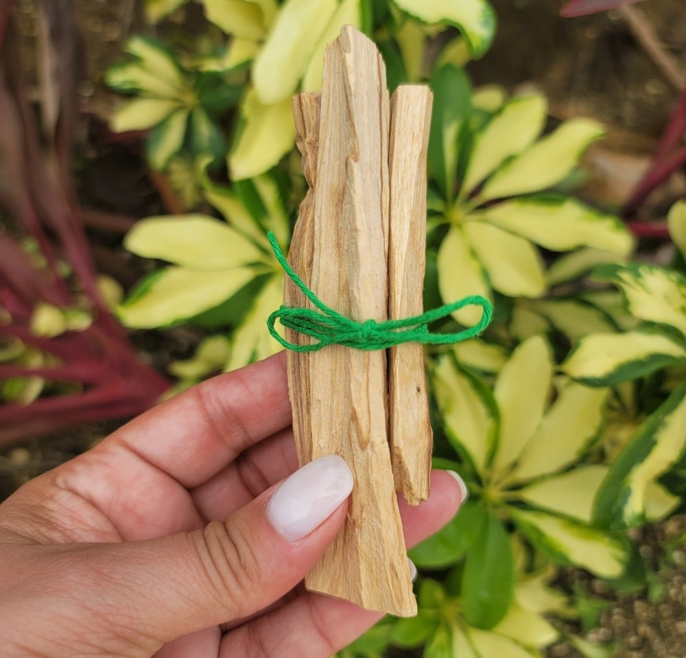 Palo Santo/ Holy wood bundle