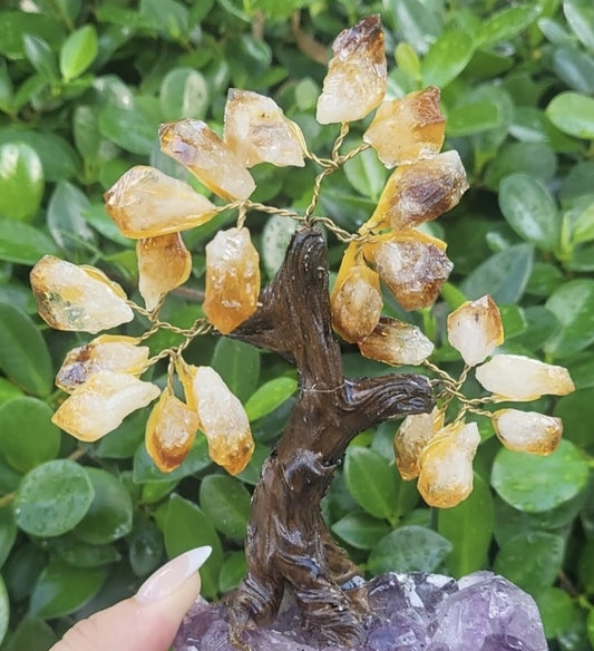 Tree Of Life